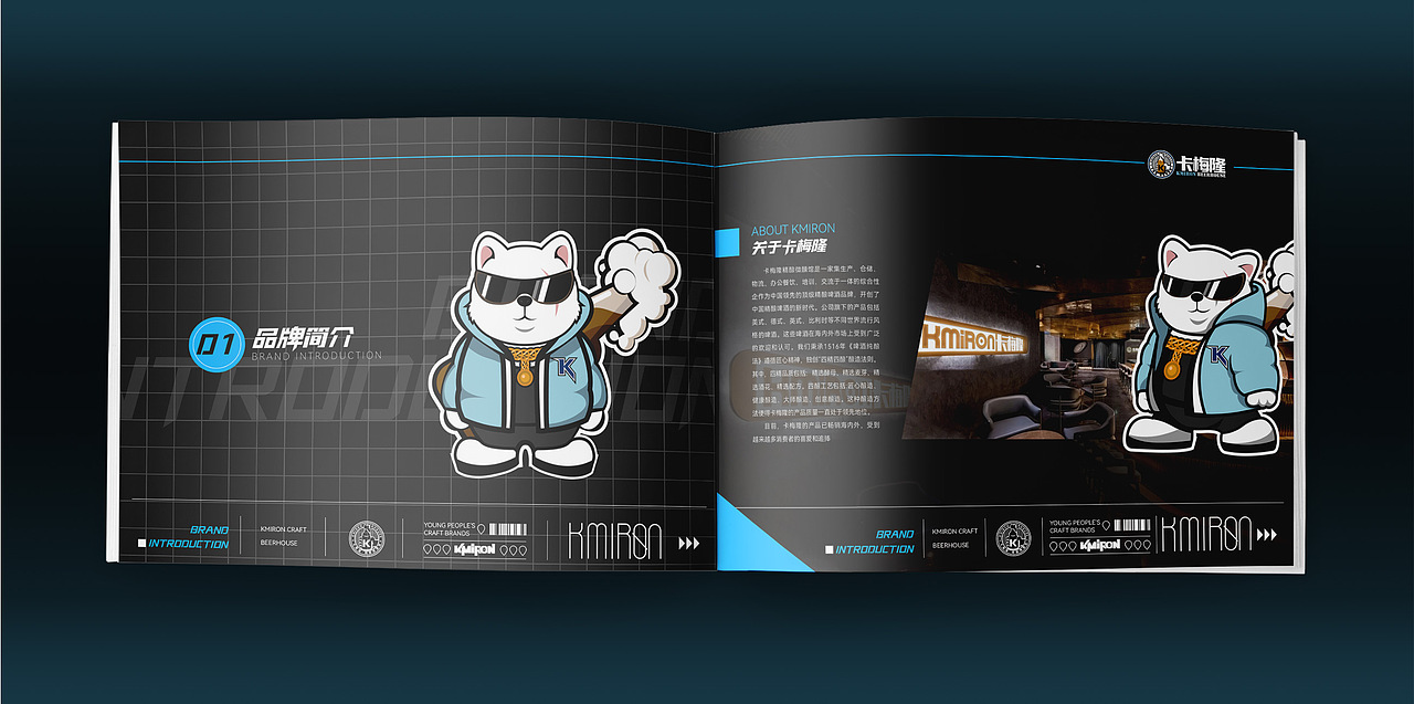 KMIRON项目介绍画册