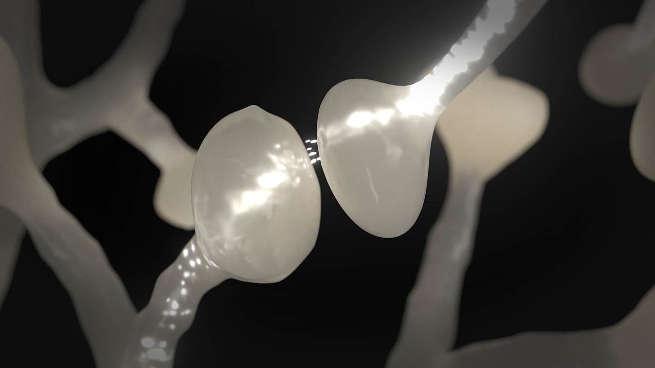 在当下，截肢患者都有什么选择？代价又是什么？（图ZMzQ2NDQ2NjMy） - 动画/影视 - 站酷设计师魏宇杰原创素材 - 站酷ZCOOL