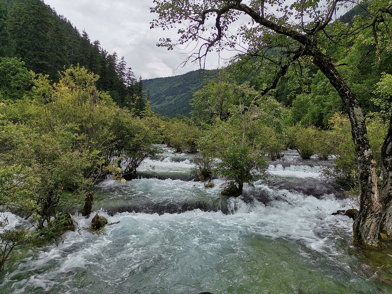 五彩缤纷九寨沟(下)