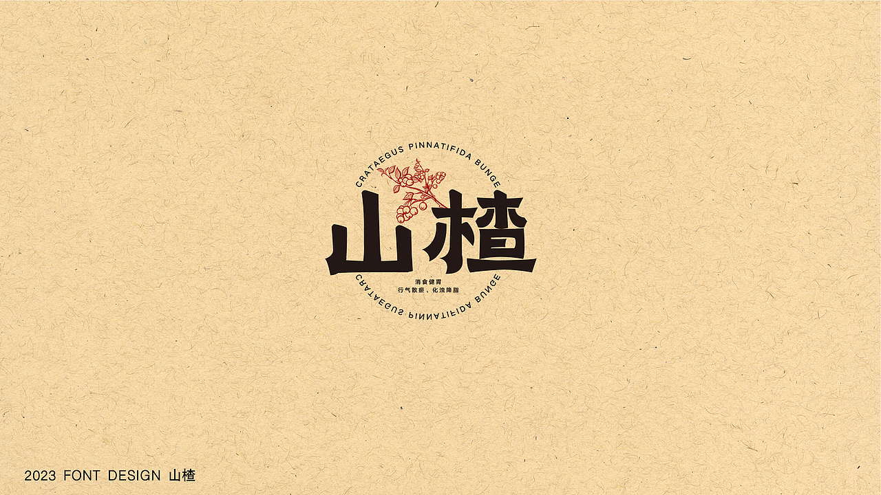 中药材字体设计