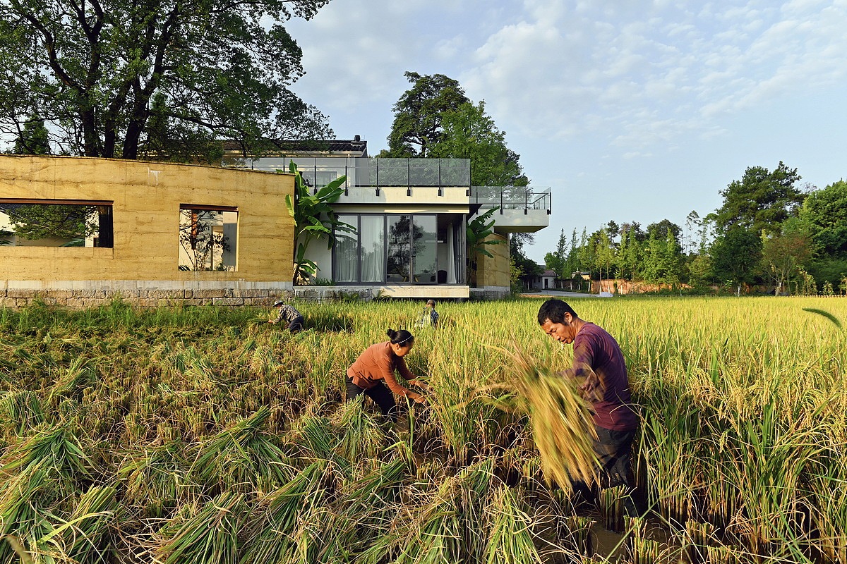 【案例分享】稻田·树下·椒园