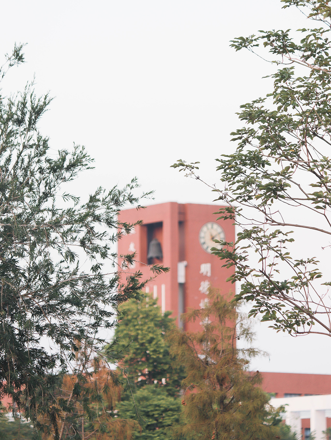 校园（图ZMzM3OTg2Mzgw） - 风光摄影 - 站酷设计师林二三_原创素材 - 站酷ZCOOL