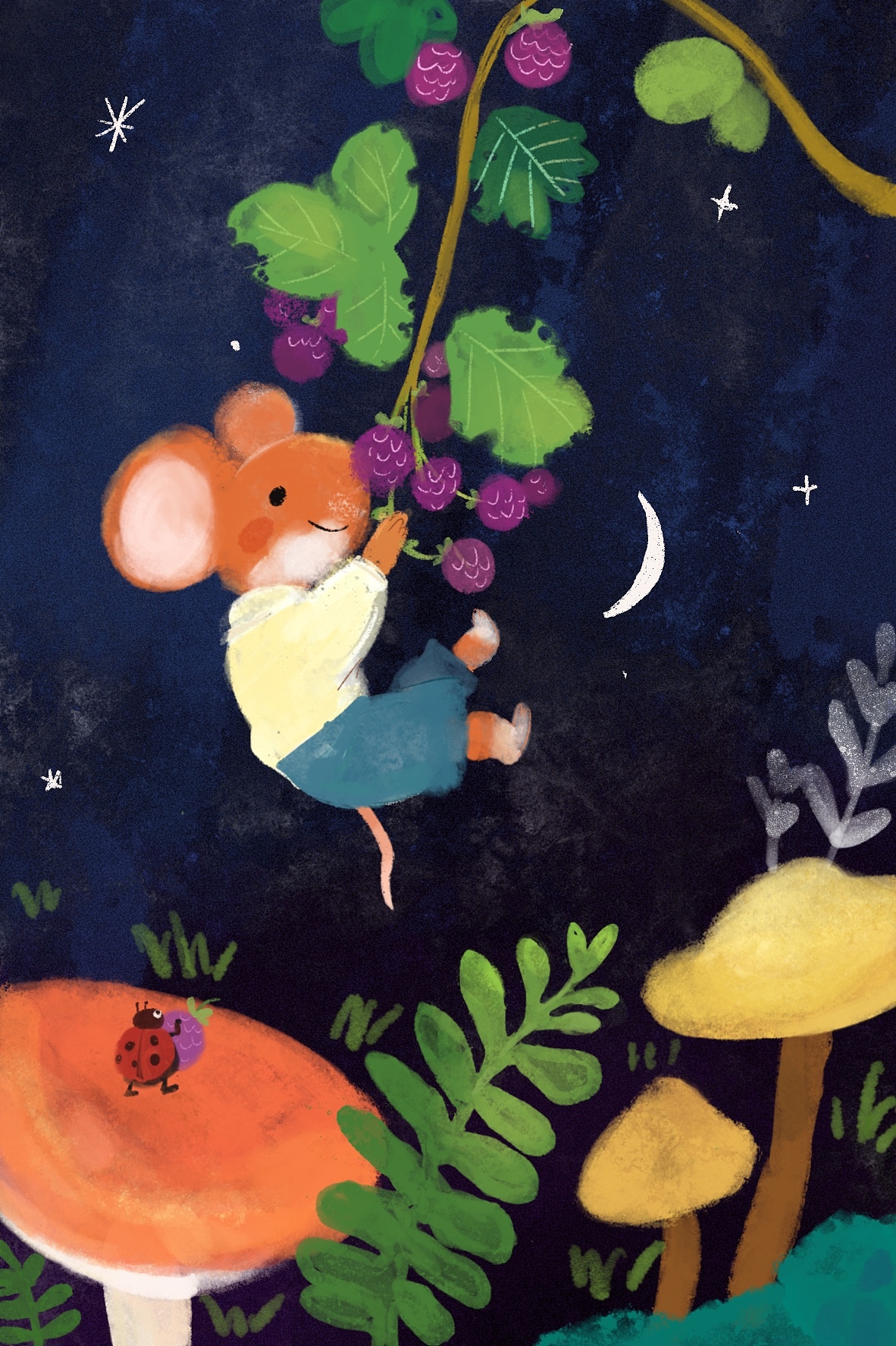 摘到了天黑 星星月亮都出来了