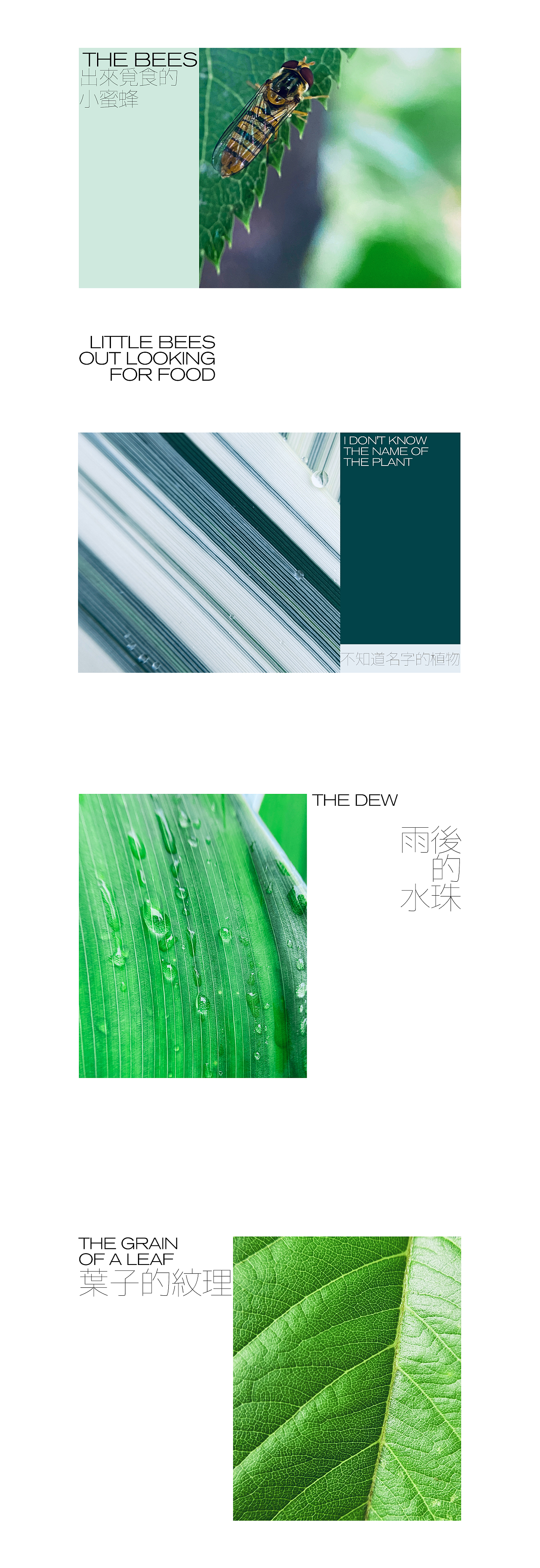 大自然的配色（图ZMzA4MDYwNzM2） - 风光摄影 - 站酷设计师咸蛋超原创素材 - 站酷ZCOOL