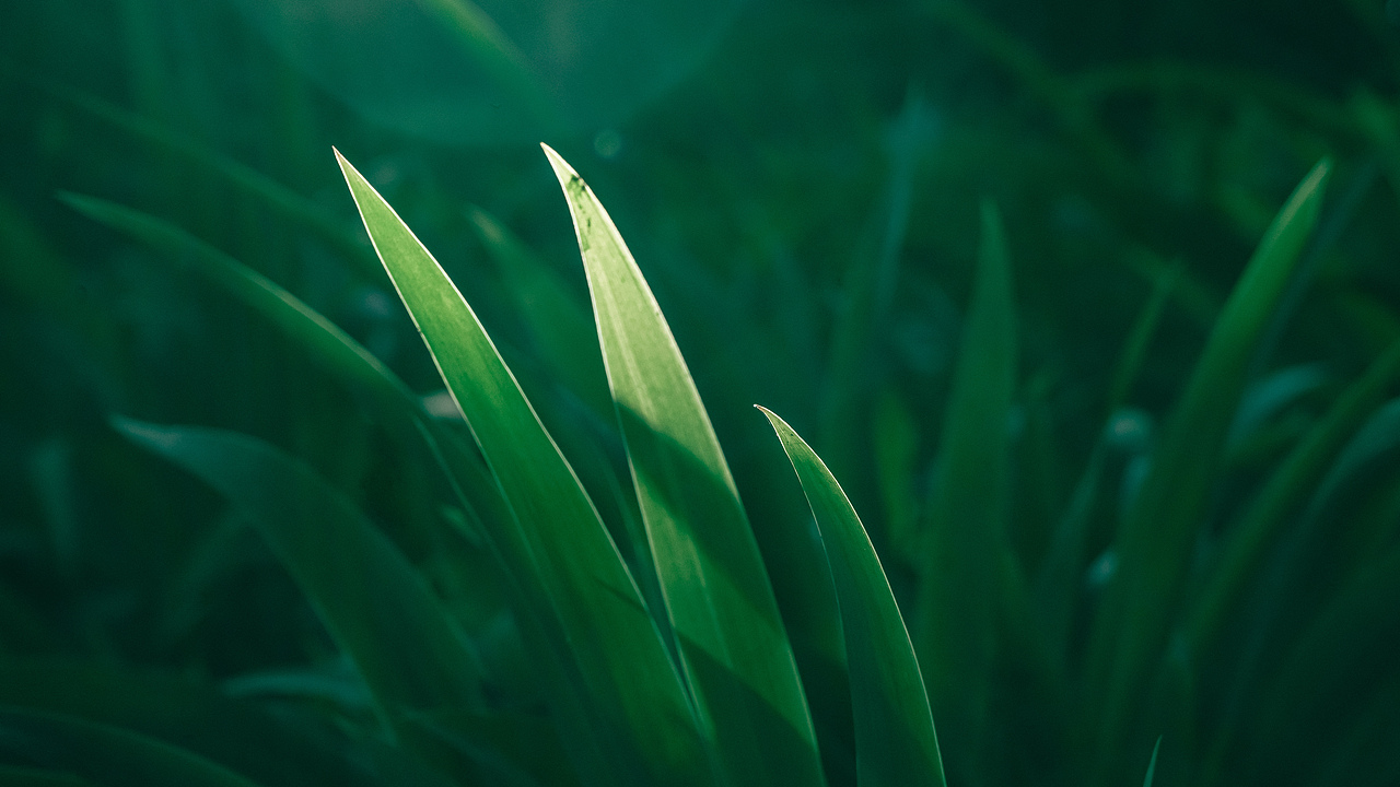 周末（图ZMzEzNDI5Mzky） - 风光摄影 - 站酷设计师非鱼子鹿原创素材 - 站酷ZCOOL