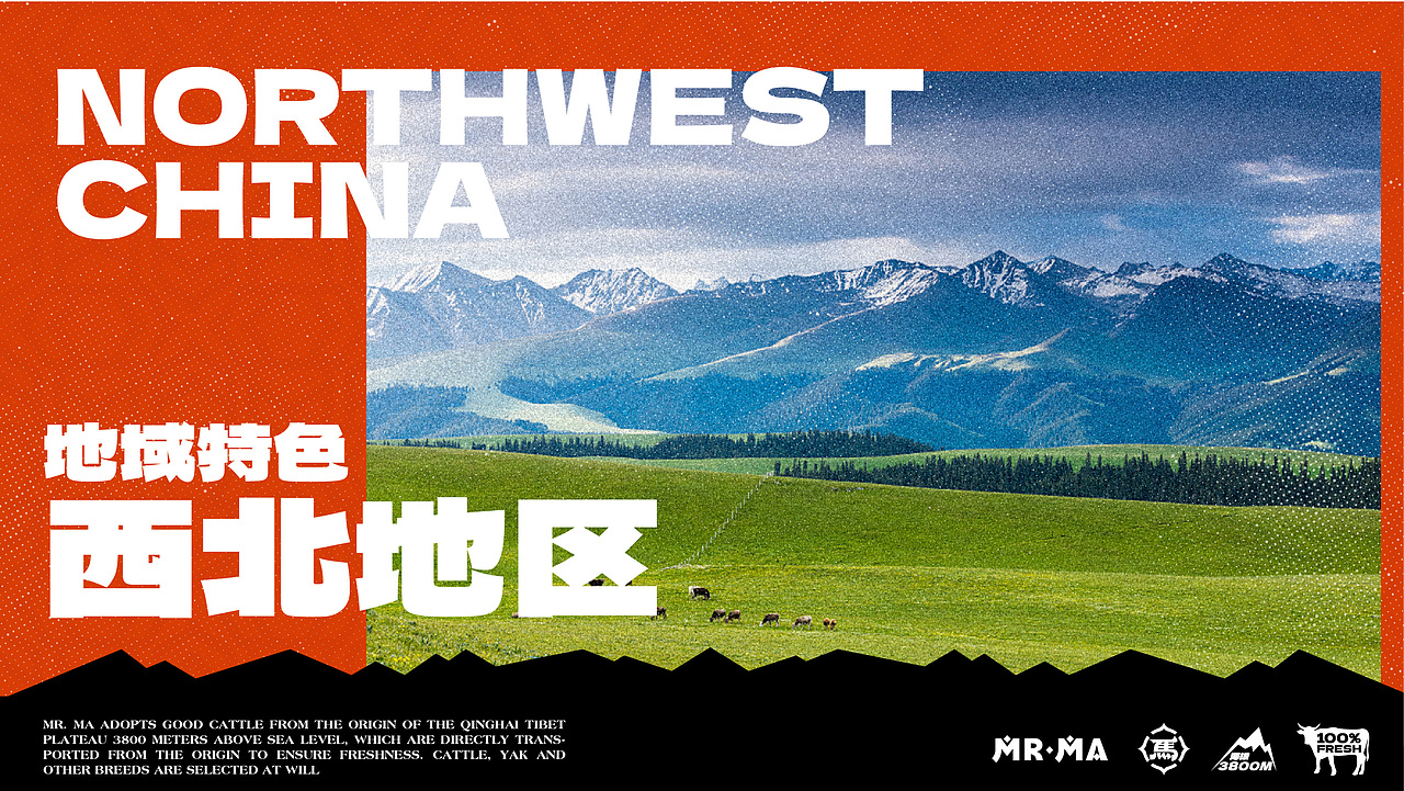 【餐饮品牌】马小火·高原现卤牛肉拉面