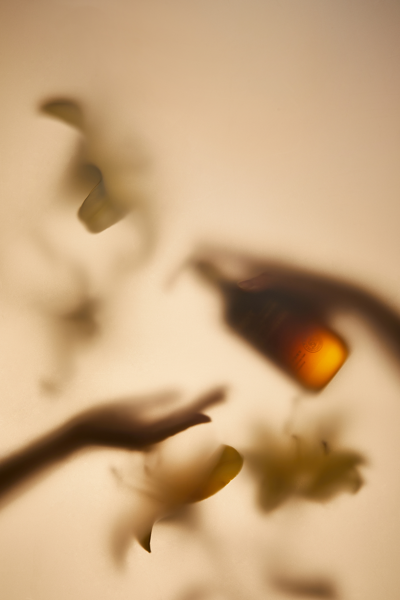 VETES 生姜防脱固发洗发水拍摄