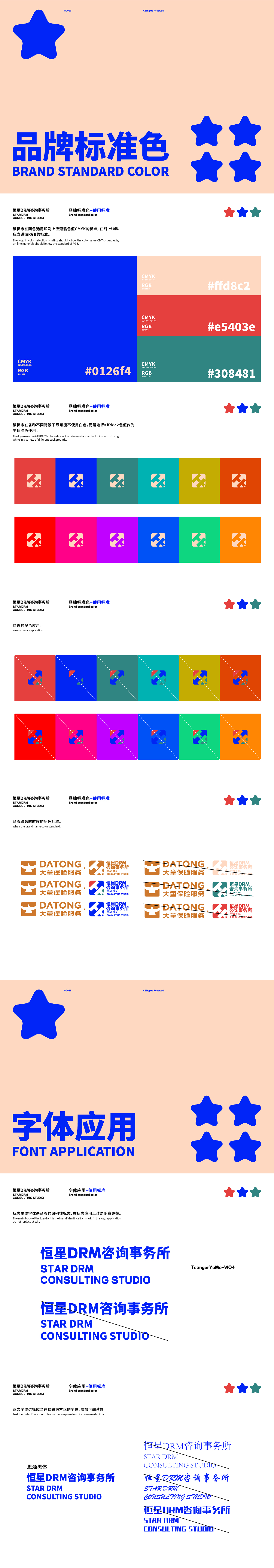 恒星DRM咨询事务所手册