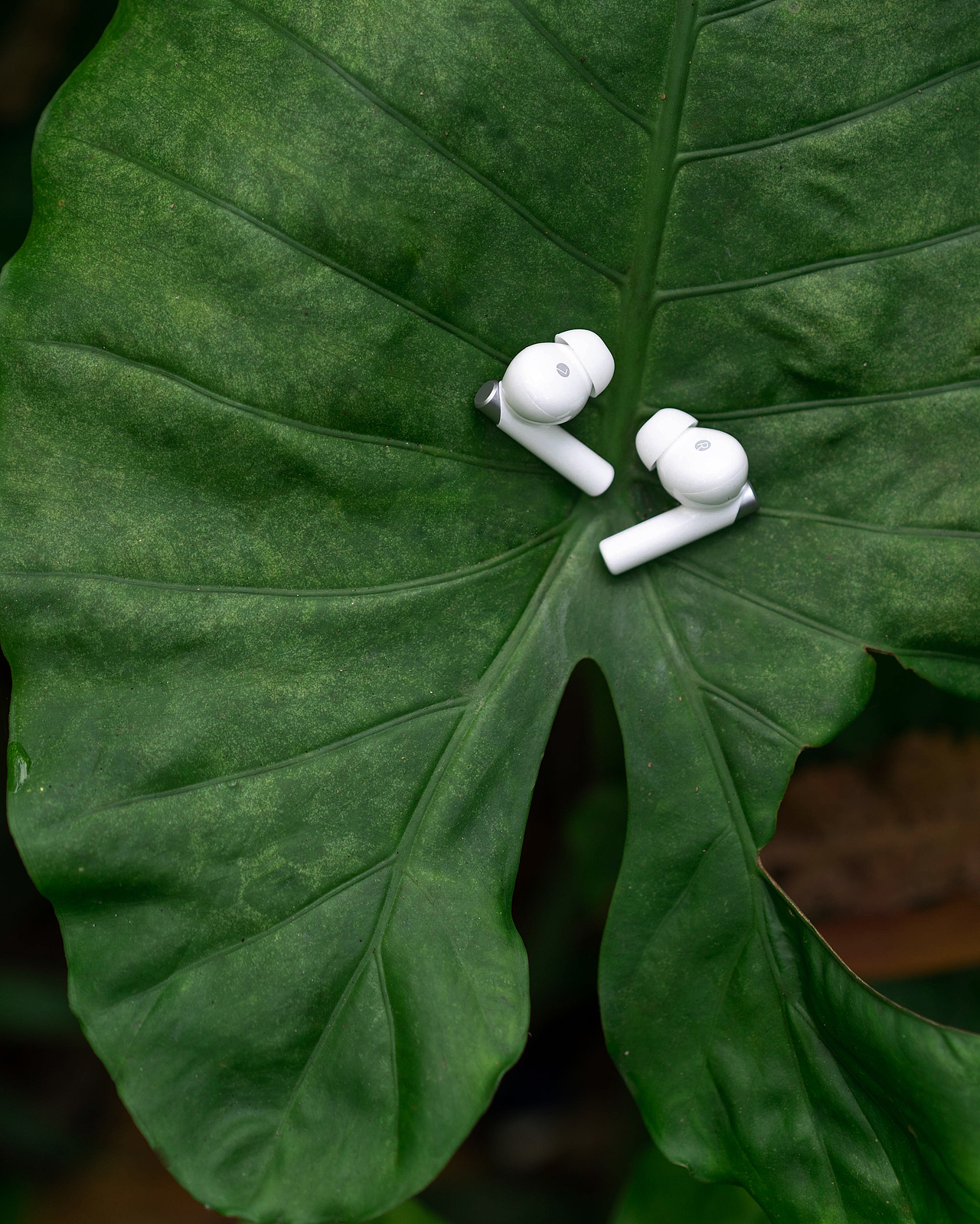 漫步者·花再 zeropro