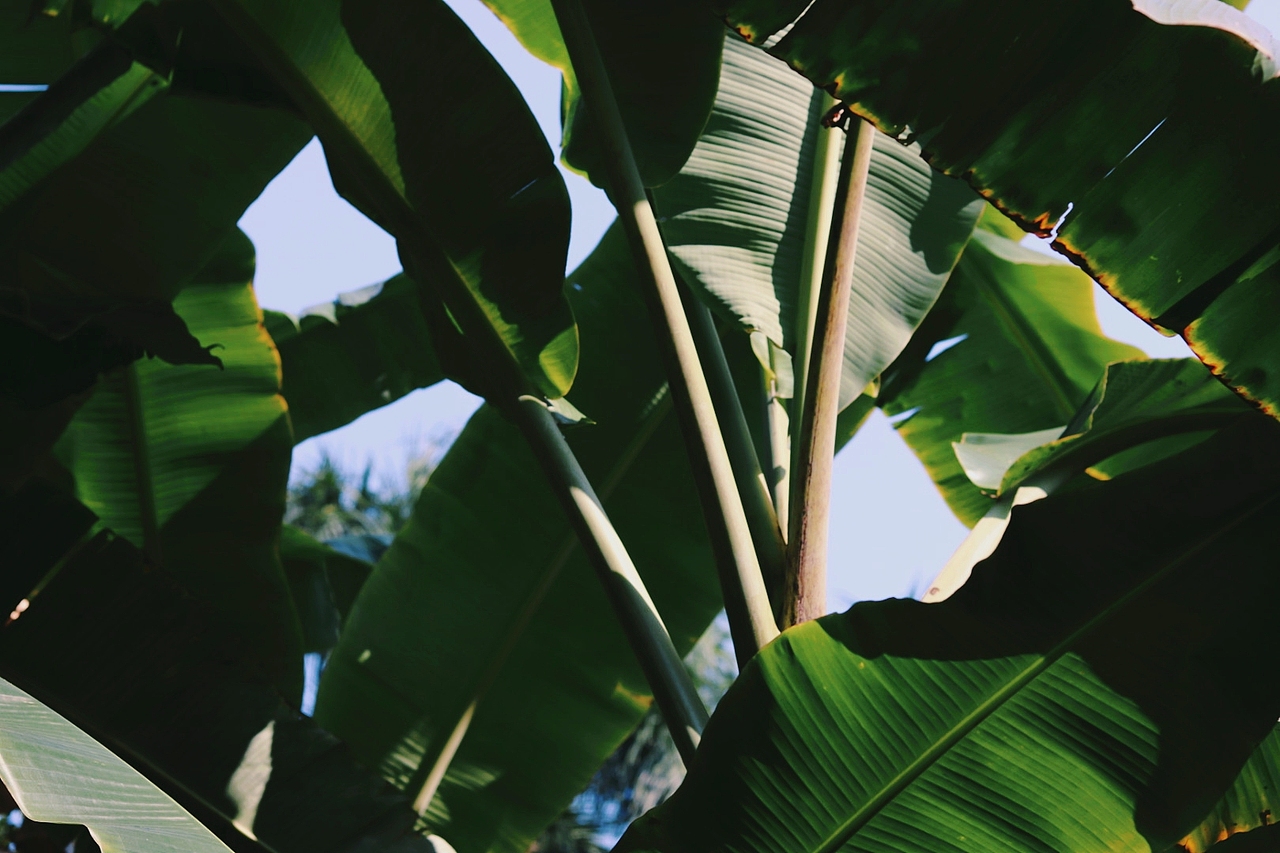 广州动物园（图ZMzU3NDIyNTA4） - 人文/纪实摄影 - 站酷设计师素和慕灼原创素材 - 站酷ZCOOL