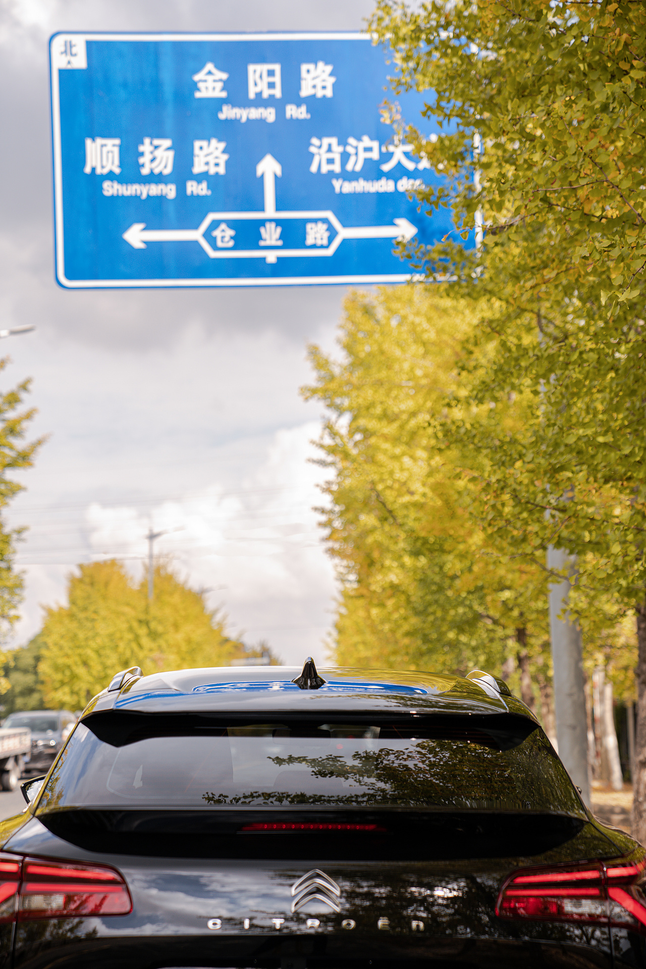 网红银杏道·遇见凡尔赛（图ZMzIyNjU2ODEy） - 人像摄影 - 站酷设计师布鲁斯Y原创素材 - 站酷ZCOOL