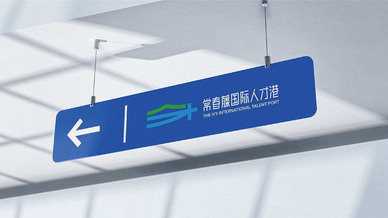 常春藤国际人才港LOGO设计