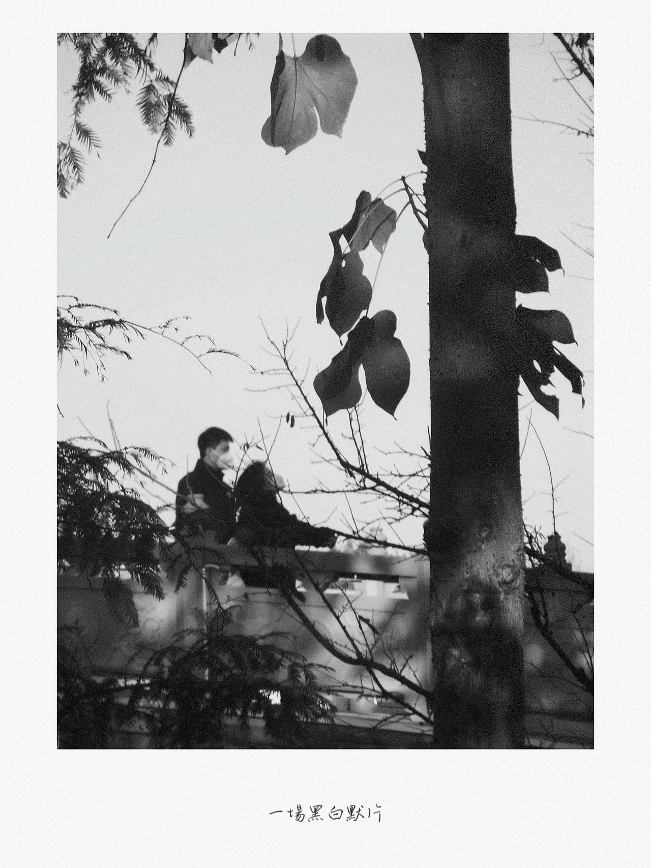 2022最後一場黑白默片