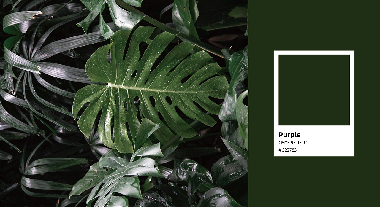 品牌设计-饮品（图ZMzU5MDc0MjE2） - 品牌 - 站酷设计师77Heaven原创素材 - 站酷ZCOOL