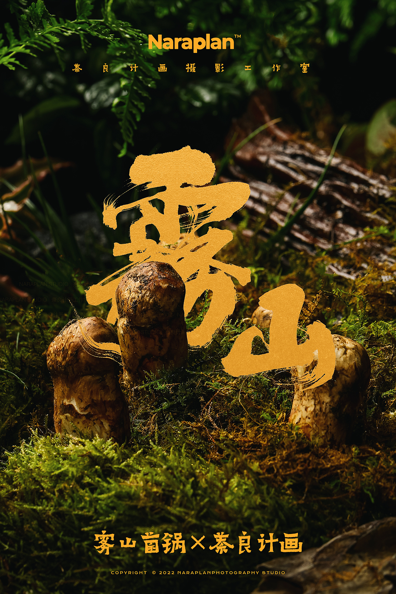 雾山菌锅×萘良美食摄影 | 松茸菌菇火锅美食造景