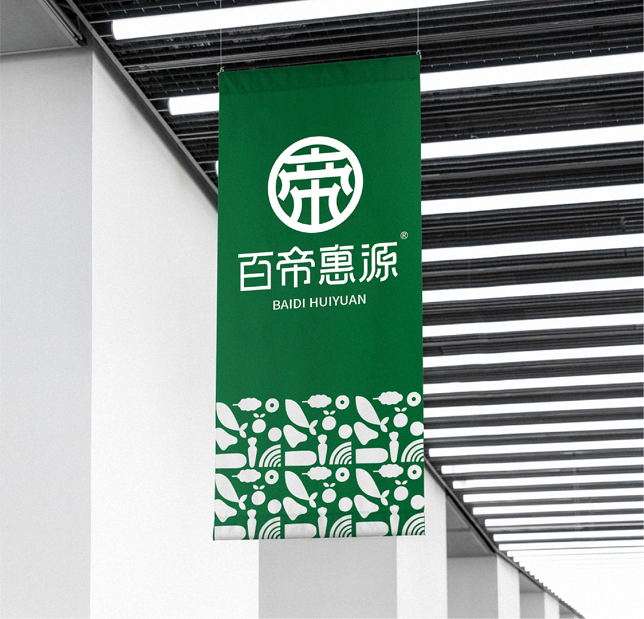 百帝惠源VI设计