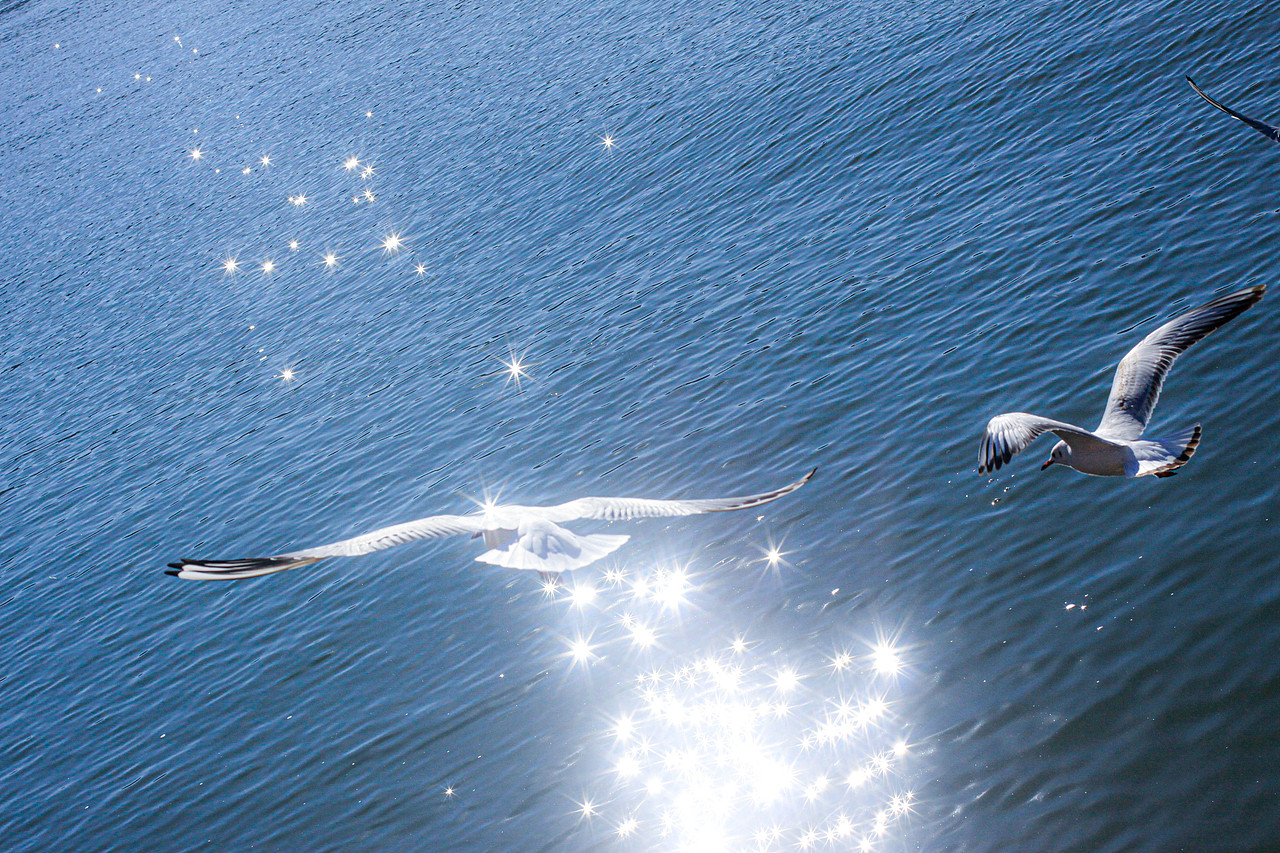 云南-大理旅游随记