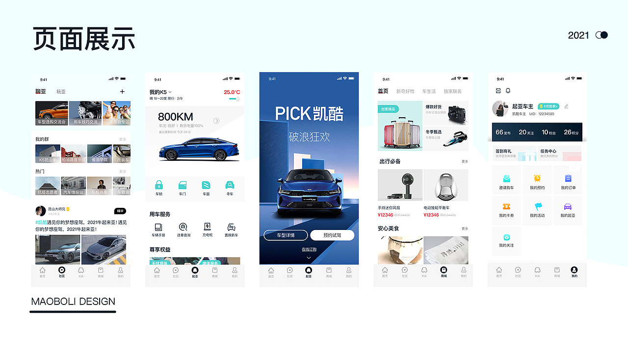 项目总结portfolio