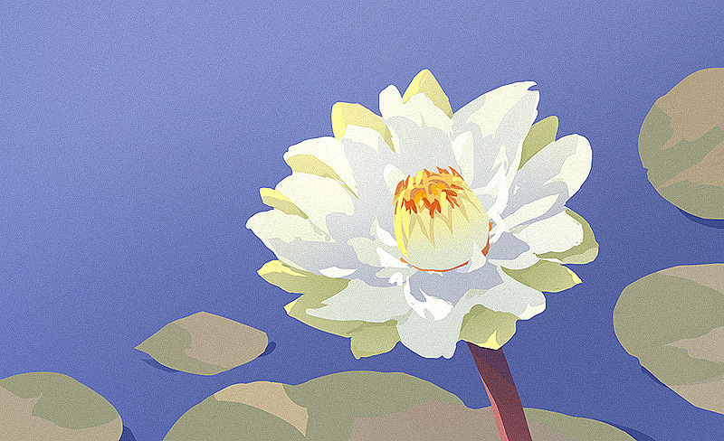 花（图ZMzE2NTQ4ODEy） - 创作习作 - 站酷设计师喵呜木子原创素材 - 站酷ZCOOL