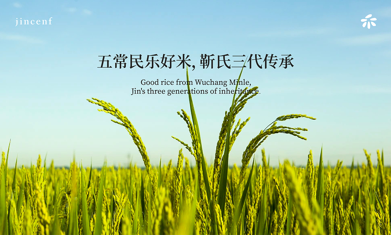 jincenf 靳香府｜五常民乐好米 靳氏三代传承（图ZMzUzMjQ5NTk2） - 品牌 - 站酷设计师Ganganstudio原创素材 - 站酷ZCOOL