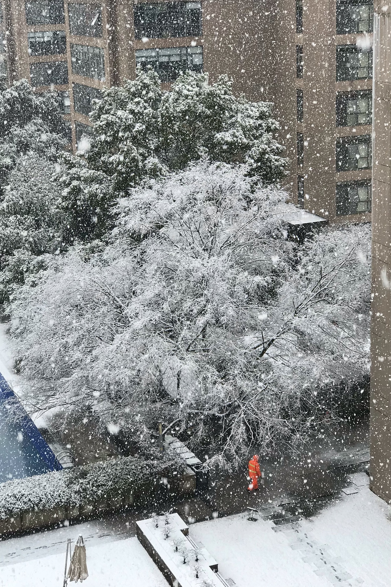 影像集：iPhone摄影（图ZMzU5ODkxNDg4） - 人文/纪实摄影 - 站酷设计师程小灰啊原创素材 - 站酷ZCOOL