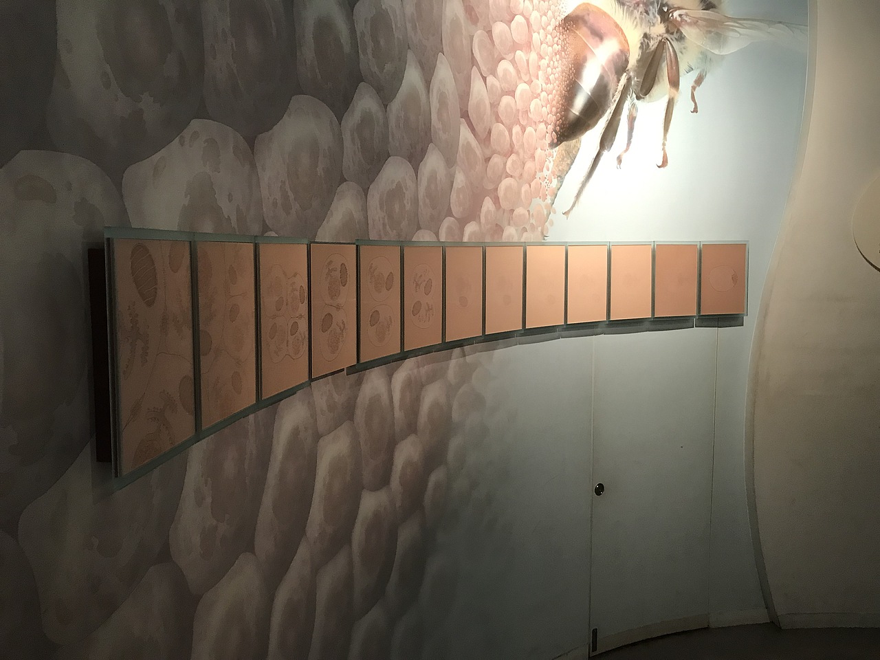 东京国立科学博物馆（图ZMzA5OTUwNzU2） - 展陈设计 - 站酷设计师JIANG2015原创素材 - 站酷ZCOOL