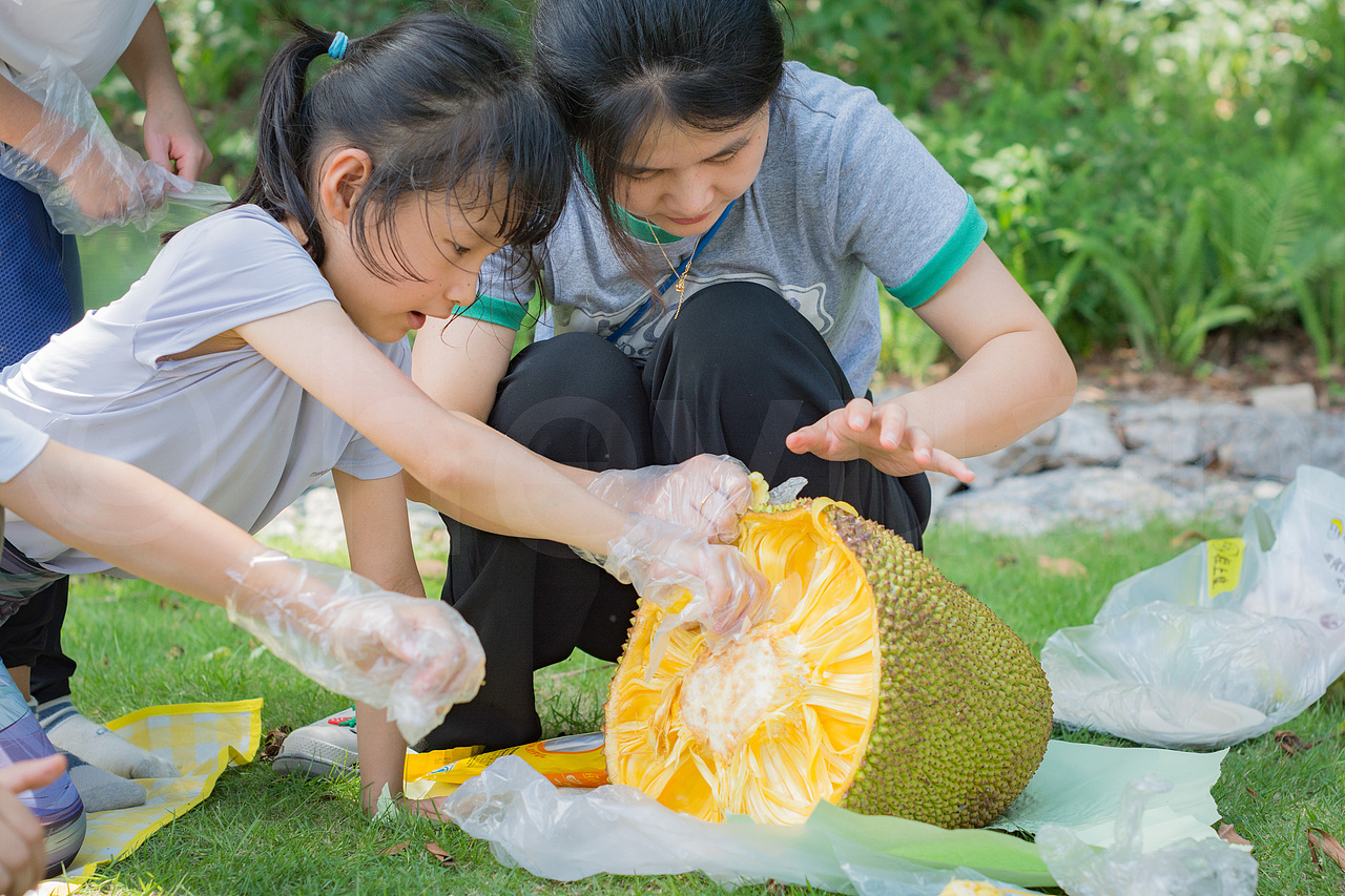儿童户外活动摄影 户外课拍摄