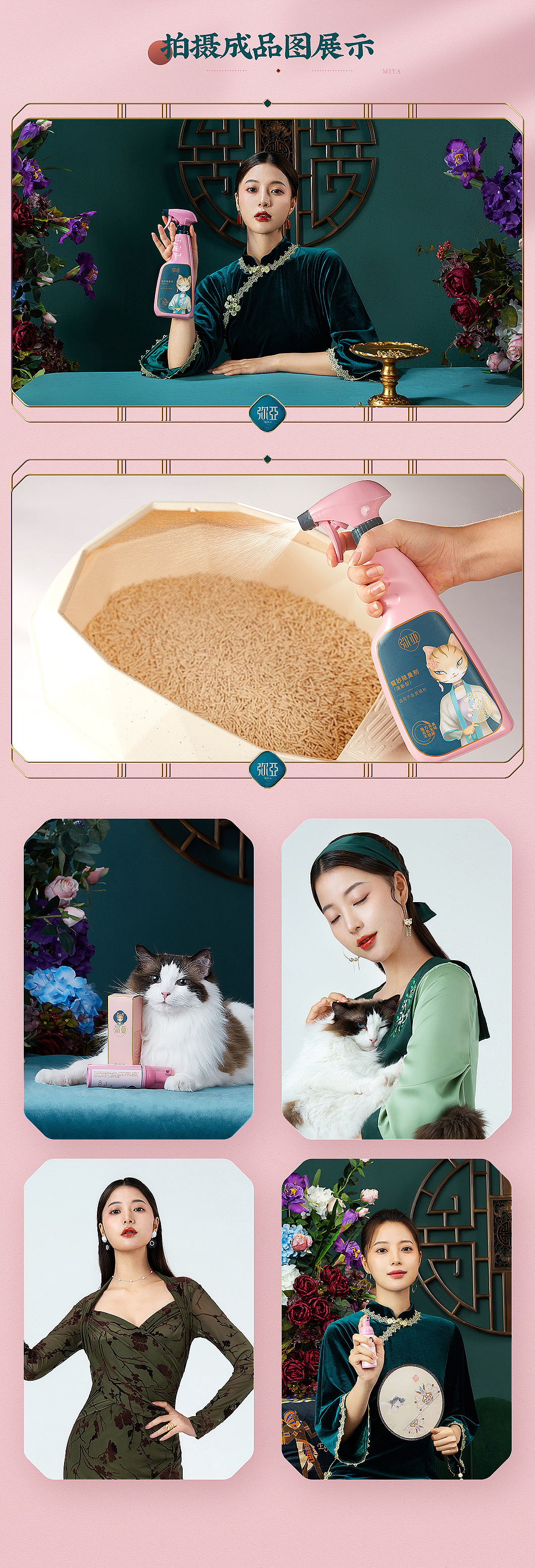 品类TOP视觉升级 猫品首页分享