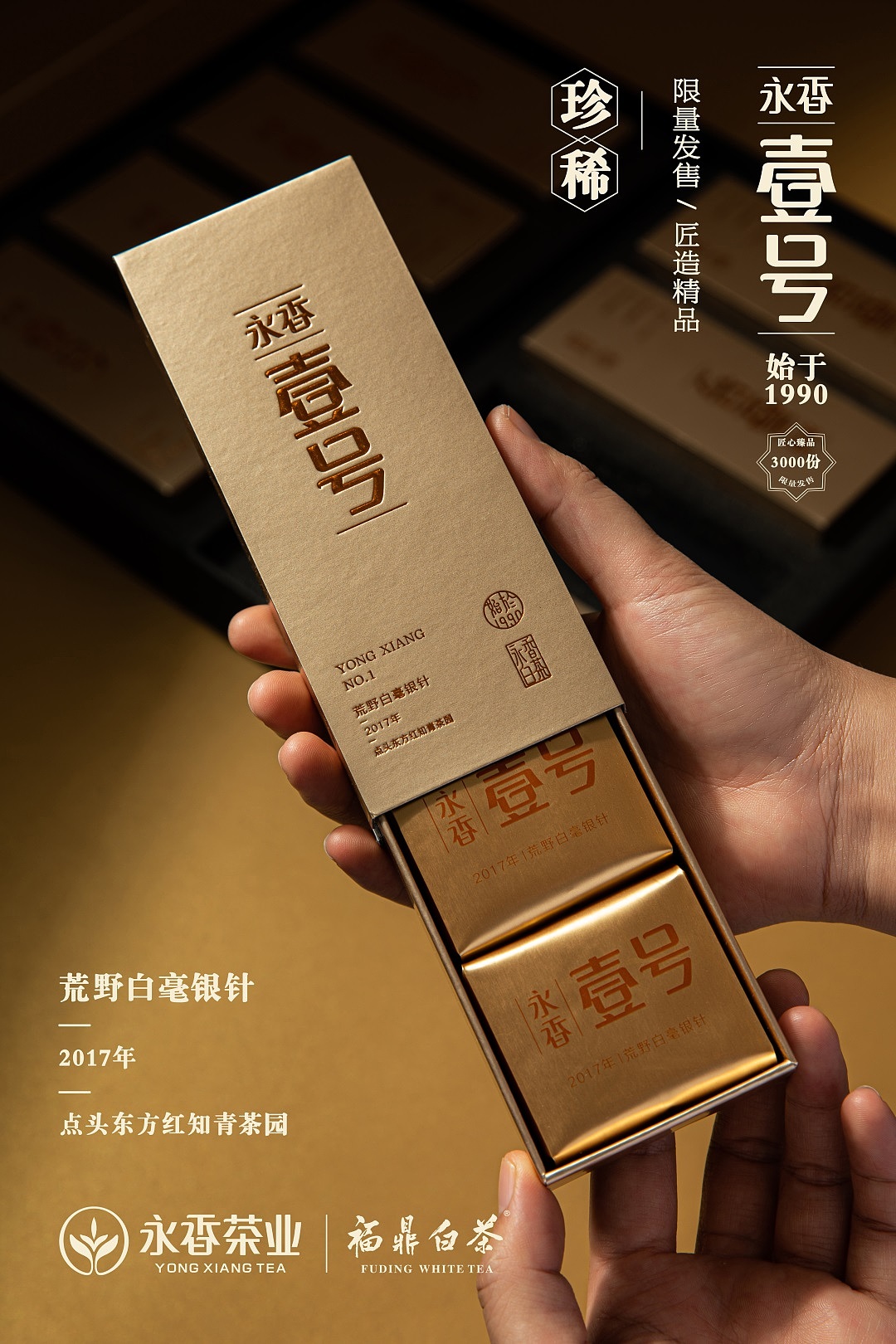 壹号——福鼎白茶产品拍摄