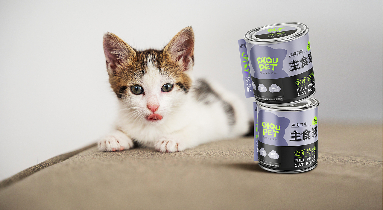 奇趣宠物|品牌形象与包装设计