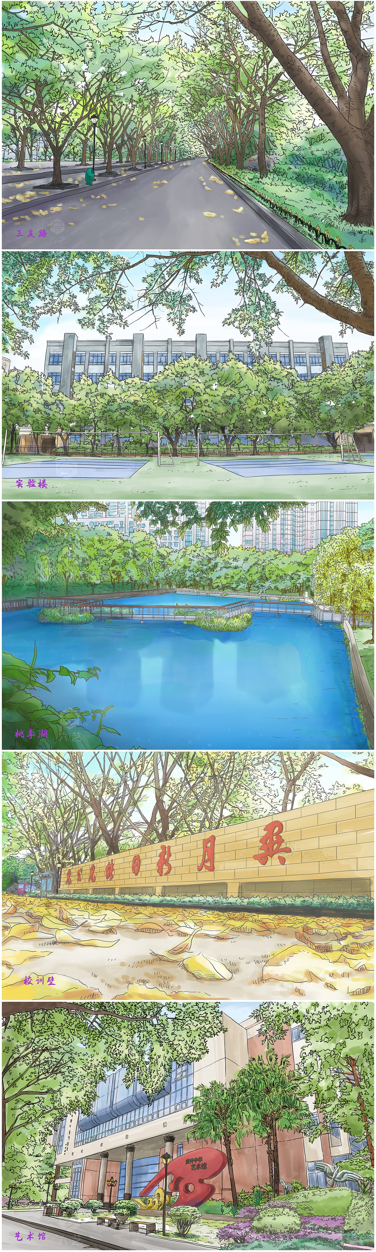 重庆南开中学手绘地图明信片插画设计水彩通知书定制