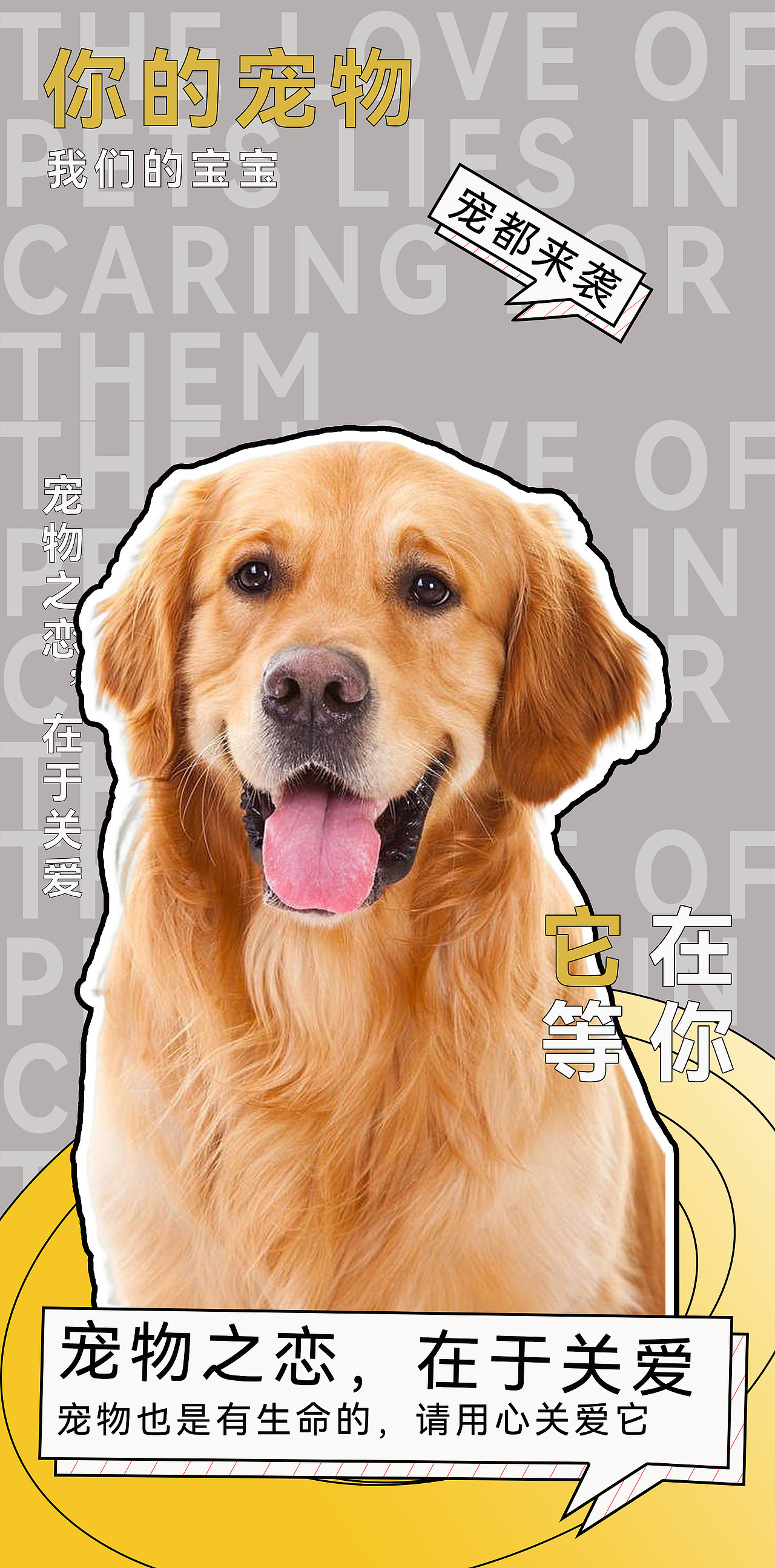宠物海报（图ZMzU3MzY0NTI0） - 海报 - 站酷设计师死亡之武原创素材 - 站酷ZCOOL