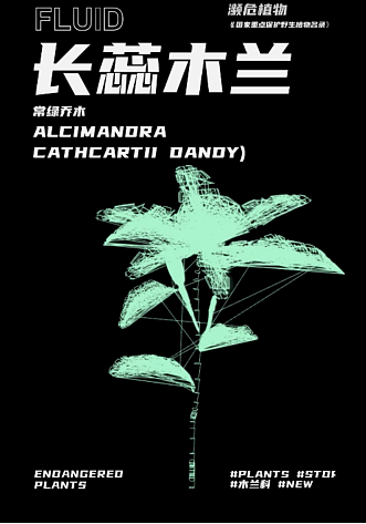 幽明芳荪——中国境内濒危植物数字化视觉形象设计