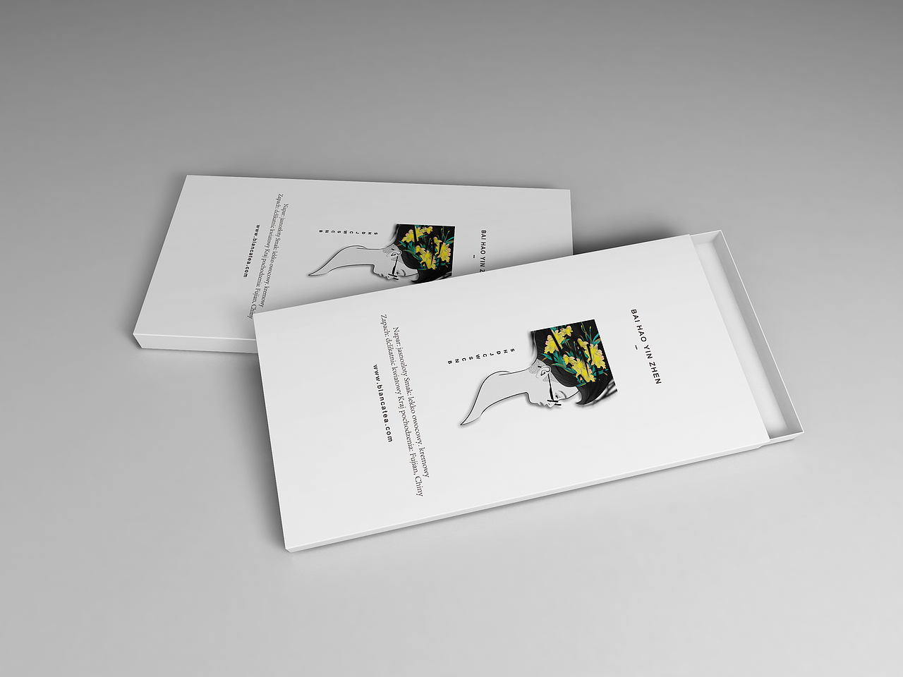 文创人物插画包装写真