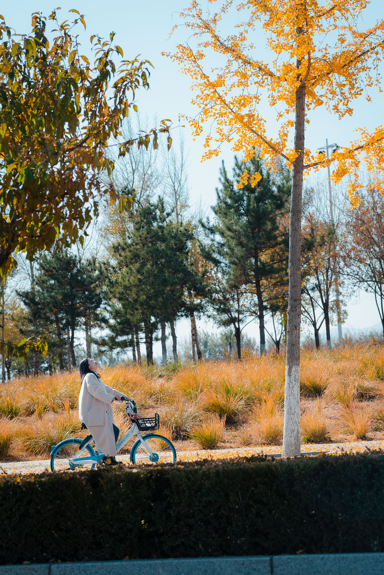 解封在十月的尾声