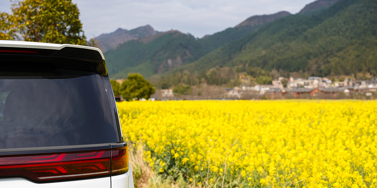 阳光恰好油菜花与腾势D9碰撞相遇(贵定金海雪山)