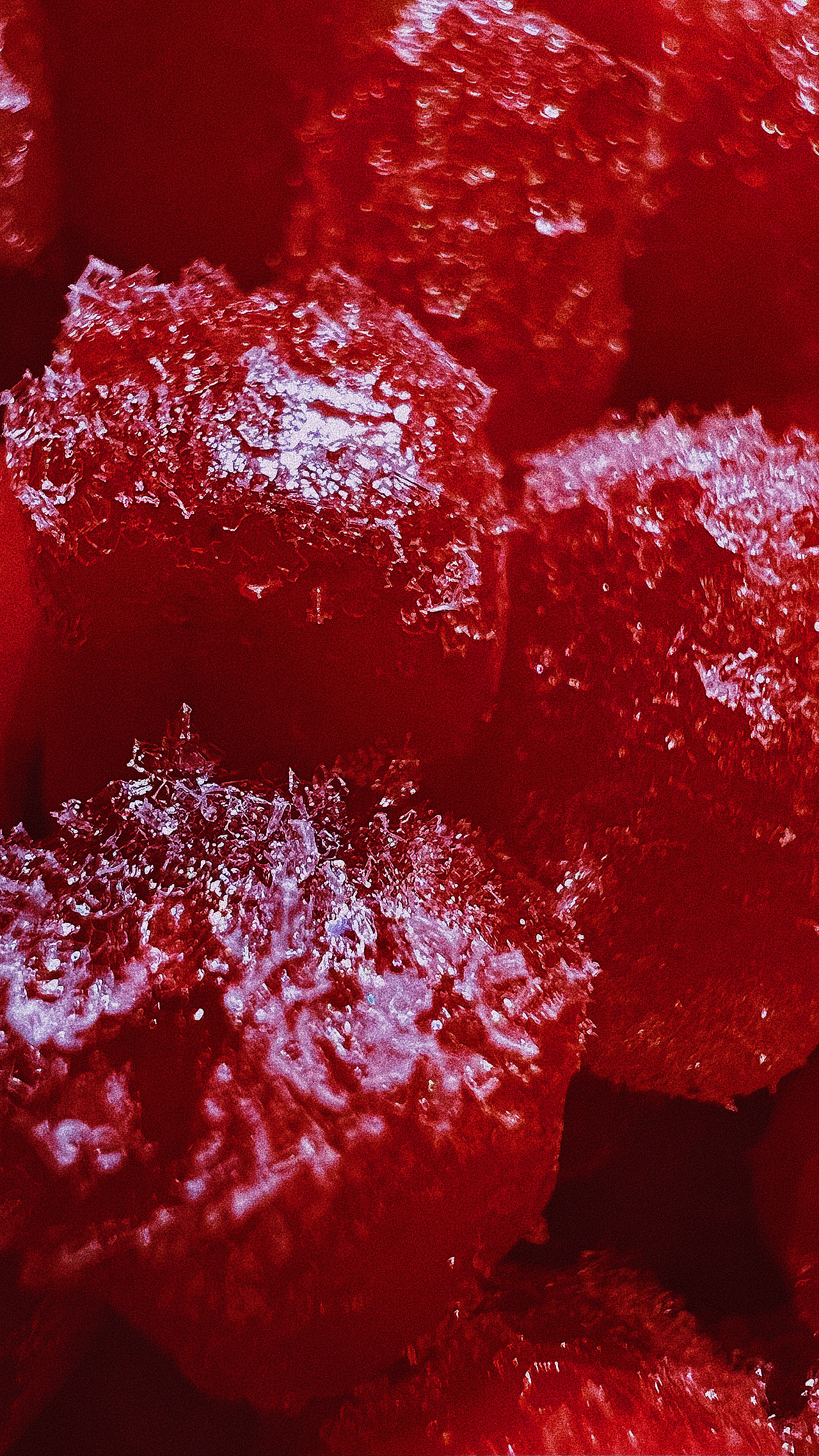 朋友送的石榴吃不完冻冰箱