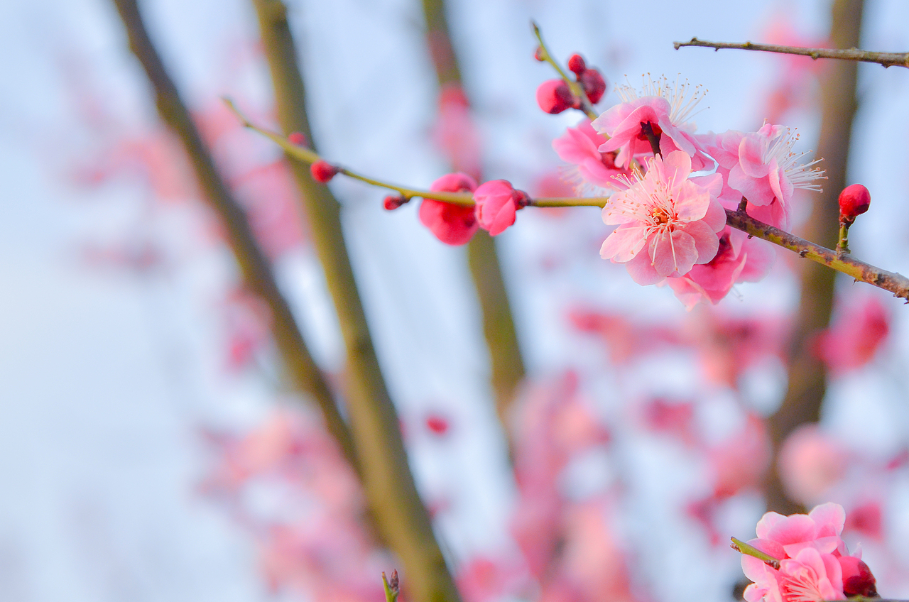 陕西汉中 天汉湿地公园（图ZMzU2MjE5MjA0） - 风光摄影 - 站酷设计师瓢酒慰风尘原创素材 - 站酷ZCOOL