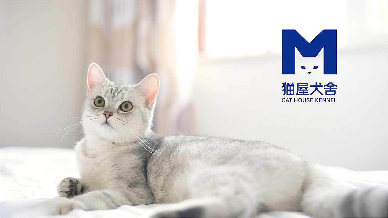 宠物品牌形象设计