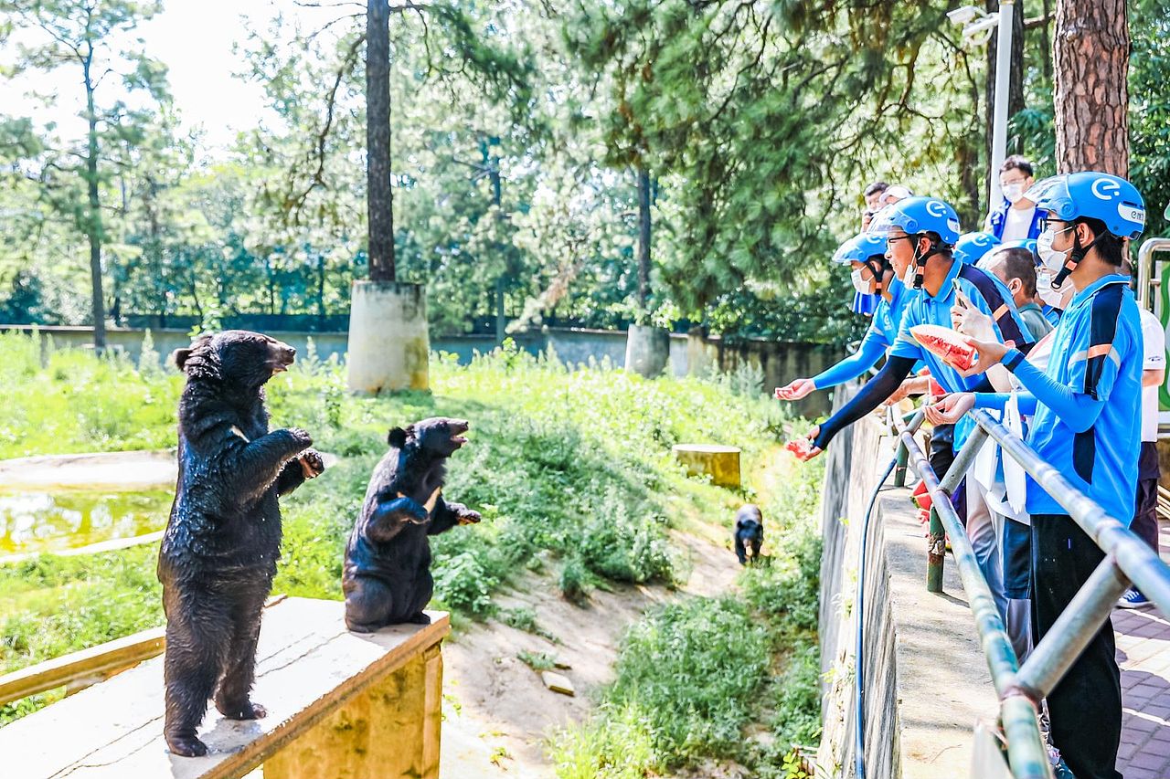 车子外包装这样设计,回头率超高的叭