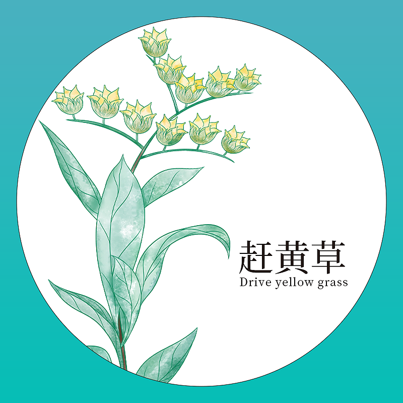 赶黄草（图ZMzA5NzkzMTA4） - 其他 - 站酷设计师懒懒的散原创素材 - 站酷ZCOOL