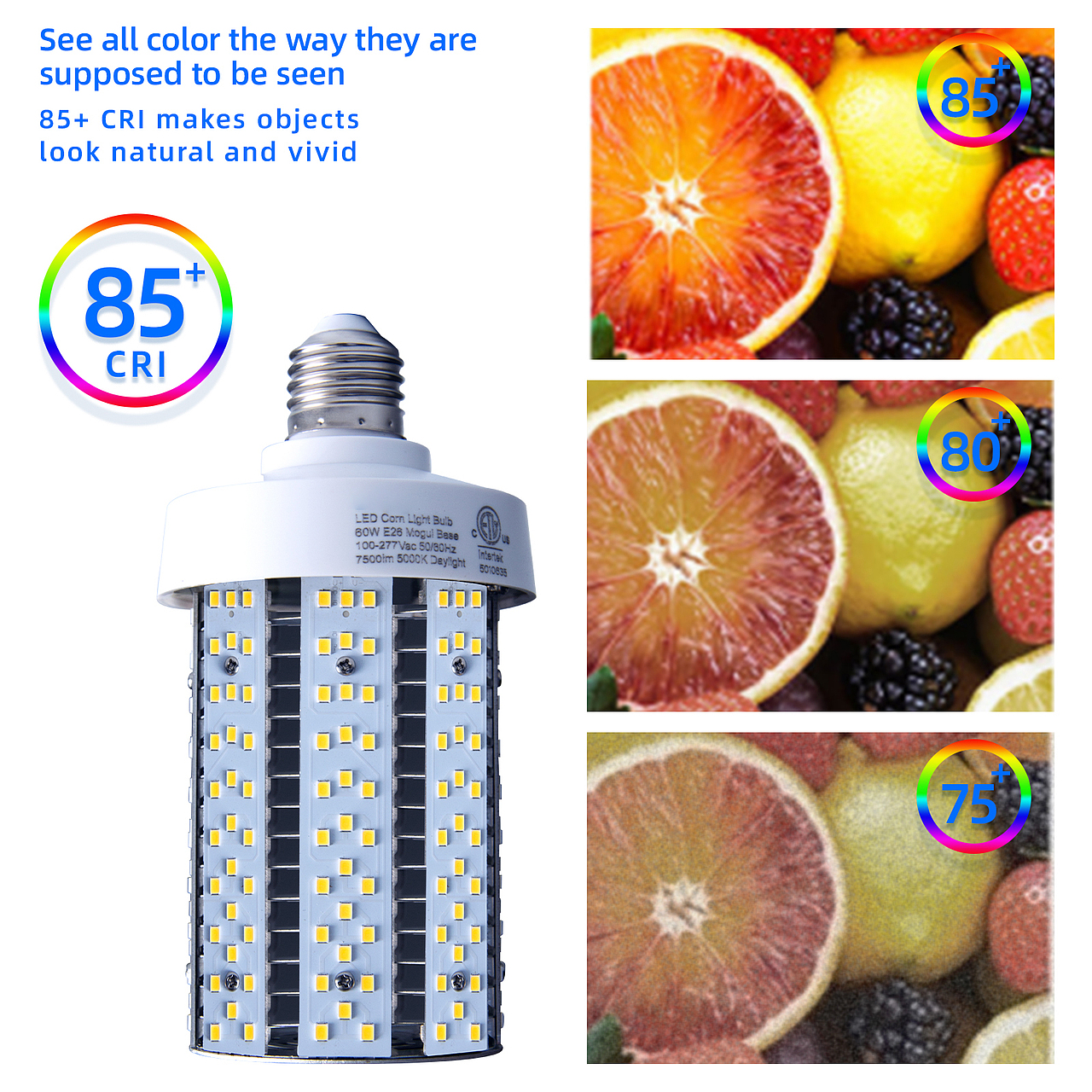 玉米灯丨亚马逊