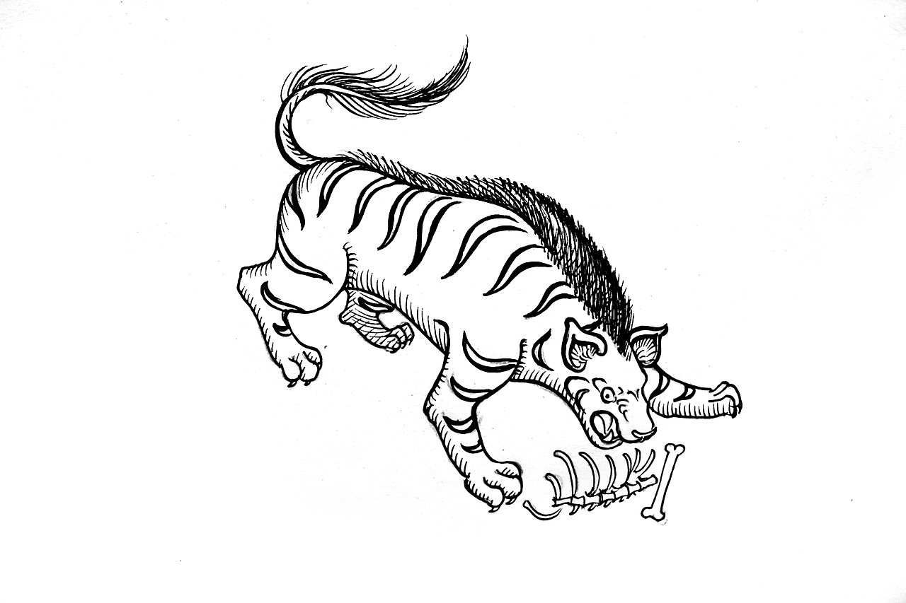 山海经里的自然世界——动物1