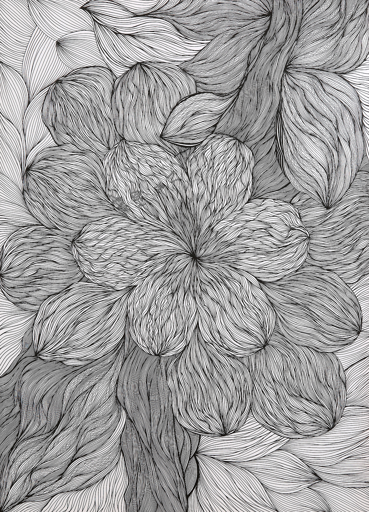 日常绘画/木花（图ZMzE1NTc1ODA4） - 艺术插画 - 站酷设计师城冻原创素材 - 站酷ZCOOL