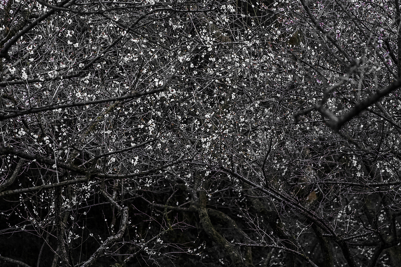 城市风貌系列6（图ZMzYzMTQ2MDE2） - 风光摄影 - 站酷设计师莫潘原创素材 - 站酷ZCOOL