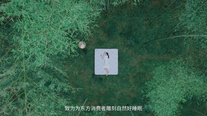 品牌视觉全案 | 竹蔓韵 竹韵自然,安心深睡