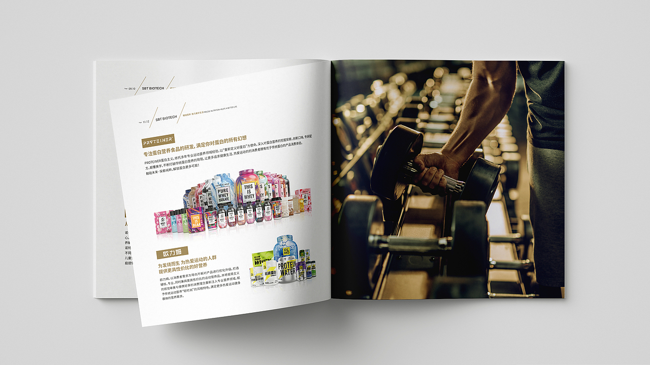 运动营养宣传画册