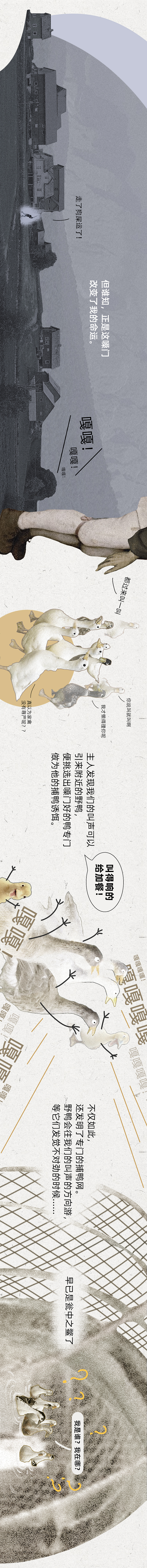 《科尔鸭发家史》