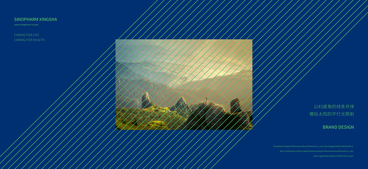 国控星鲨 参赛复盘