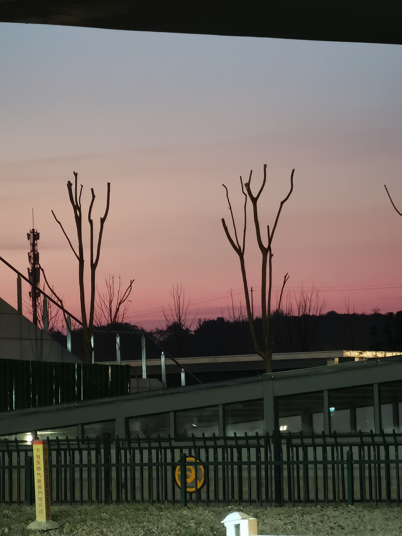 日 与月 与云 与草 与林 与山海 还有花